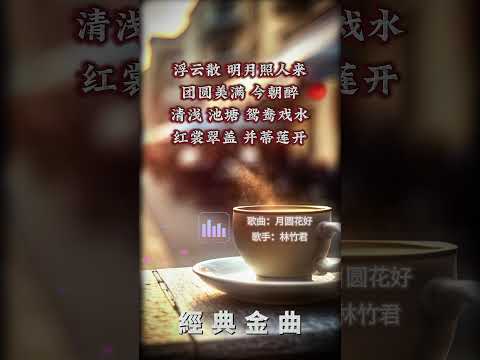 【林竹君~月圓花好】懷舊老歌推薦 | 經典老歌 | Best Old Songs of Lena Lim