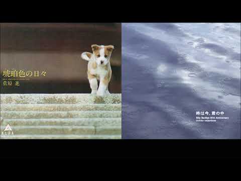 琥珀色の日々【菅原進】作詞/作曲：菅原進（ビリーバンバン）Billy BanBan 35th Anniversary Version 2004.10.13（歌詞付）