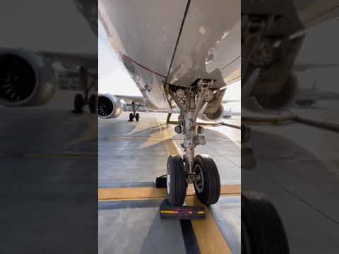 Aircraft Horns (ground crew call)