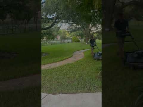 Mowing Tall St Augustine! -Timelapse #mowing #lawncare