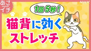 【猫背改善ストレッチ】1回5秒×5回 忘れずに続けられるスマホ壁紙術も | あさイチ | NHK