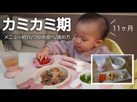 【カミカミ期まとめ】離乳食後期のメニュー紹介や掴み食べの進め方など🌿Q＆A【生後9•10•11ヶ月】