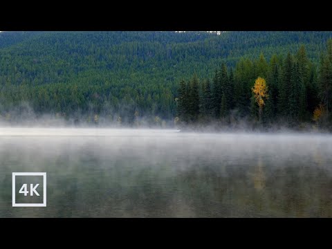 4K Misty Forest Mountain Lake | Bob Marshall Wilderness | Peaceful Nature Sounds for Sleep & Study