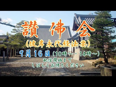 2023年9月16日彼岸永代経法要：午前（住職）