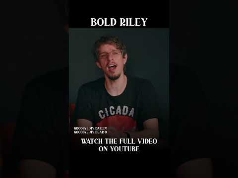 Delicious Harmonies | Bold Riley