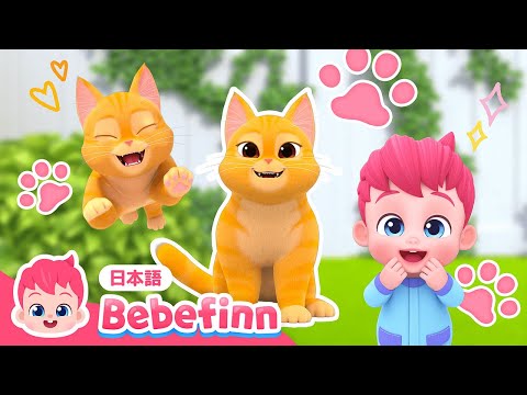 ねこのうた🐈 | 73話 | ニャーニャーかわいい猫ちゃん | The Cat Song 日本語バージョン | べべフィン Bebefinn - 子どもの歌