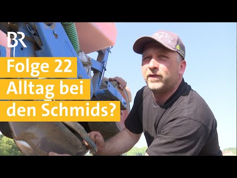 Stallgeschichten Folge 22: Routine im neuen XXL-Kuhstall: Familie hält zusammen | Unser Land | BR