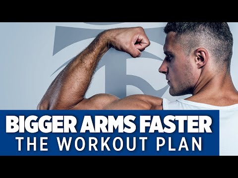 Bigger Arms Faster The Workout Plan