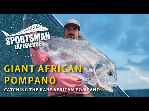 The Sportsman Experience Shorts - Giant African Pompano