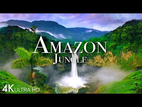 Amazon Jungle 4K - The World’s Largest Tropical Rainforest | Jungle Sounds | Scenic Relaxation Film