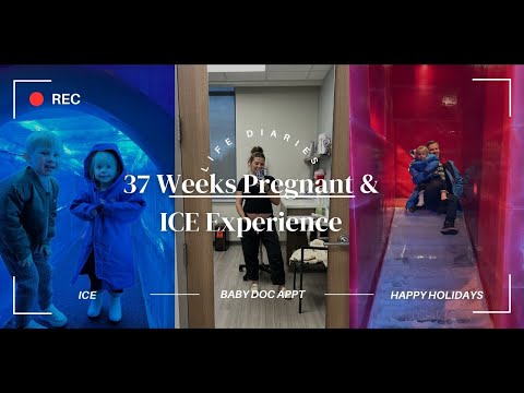 Life Diaries: 37 Weeks Pregnant & ICE Experience | Milabu