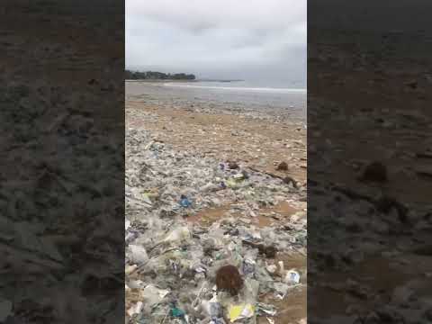 L’unica reale soluzione è smettere di usarla. Plastica monouso, reti da pesca, basta!