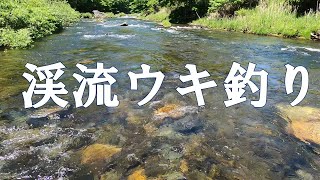 【渓流ウキ釣り】ヤマメ釣り