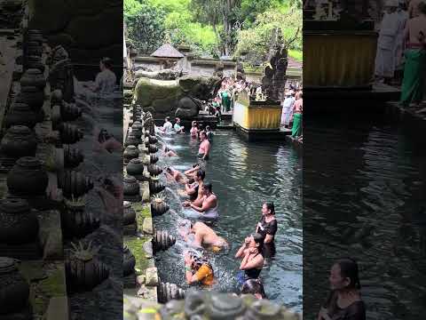 The Sacred Ritual: Purification Bathing at Tirta Empul Hindu Balinese Temple #shorts #travel