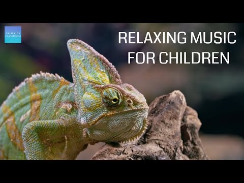 Morning Music For Class - Jungle sounds & instrumental music - relaxing music for children be calm