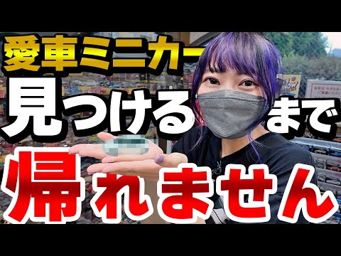 【神回】愛車のミニカーを見つけるまで帰れません！アルテッツァなんて見つかるワケない…！？車好き女子が大阪の街を駆け巡る！