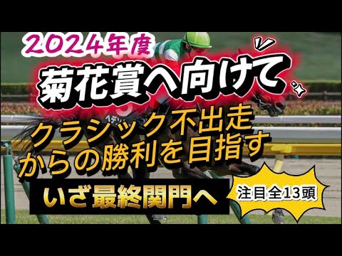 春のクラシック不出走で2024菊花賞を目指す馬たち