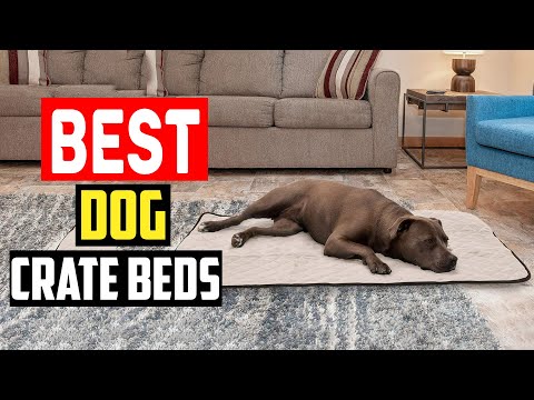 ✅Top 5 Best Dog Crate Beds To Make Your Dog’s Den Cozier in 2024