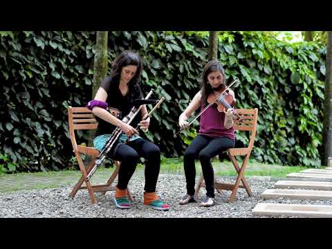 Uilleann Pipes and Fiddle