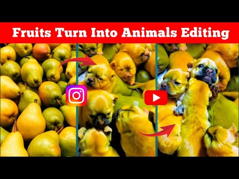 Phal Se Animal Banane Wala Ai Video Kaise Banaye | Ai Animal Like Fruit | New Trending Ai Video Edit