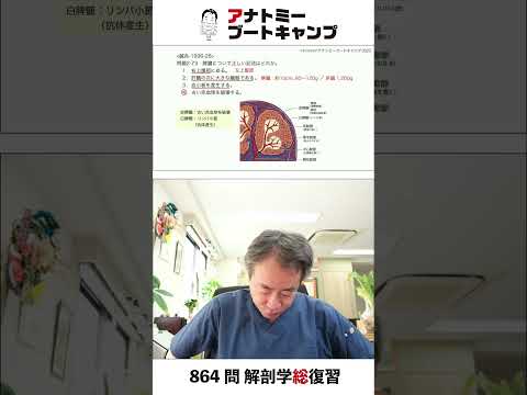 【 #国試1分道場 ・循環器系】脾臓について正しい記述はどれか　１．右上腹部にある　２．肝臓の次に大きな臓器である　３．血小板を産生する　４．古い赤血球を破壊する #かずひろ先生 #解剖学