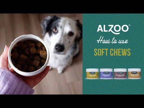 How to use ALZOO™ Soft Chews?