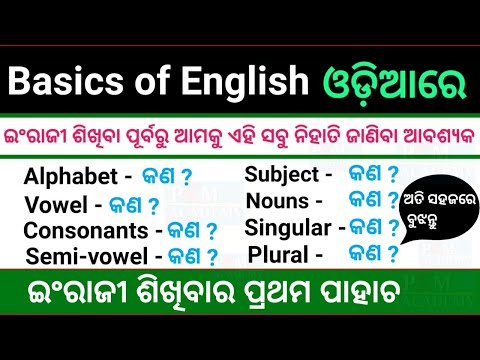 Basic English In Odia | Vowel | Semi vowel | Consonants | Noun In Odia | Basic English Grammar Odia