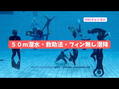 水深5.0mプールで50m水平潜水・救助法・フィン無し潜降に挑戦！OSCスキンダイビング講習会（応用実践編）の練習風景（フォームチェック動画） in 東京辰巳国際水泳場