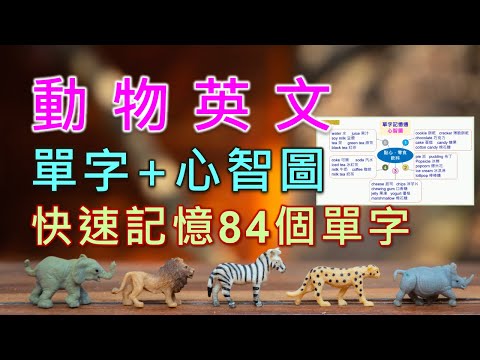 動物英文單字，首創心智圖+節奏感，12分鐘輕鬆記憶84個最常見又實用的動物英文單字。