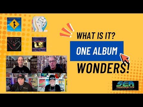 The One Album Wonder...What Is It?