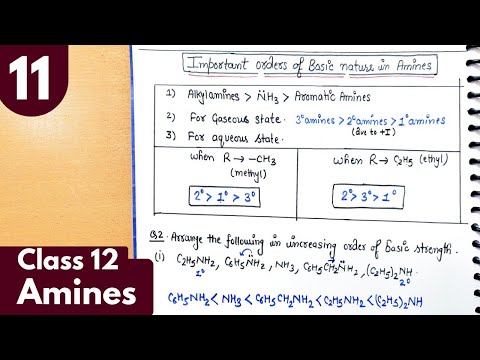 11) Important Ncert questions on basic order of amines| basic nature of amines PYQ| Amines class12