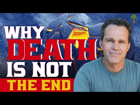 Why Death Is Not The End | Dr. Zach Bush