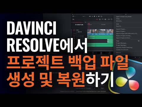 DaVinci Resolve에서 프로젝트 백업 복원하기