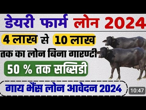 10 पशुओं की डेयरी पर 11.80 लाख सब्सिडी Animal Husbandry Dairy Loan Scheme 2024 How to apply for cow