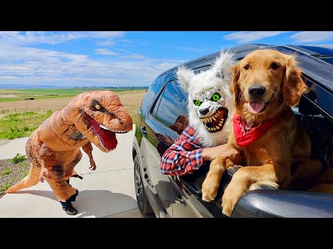 T-Rex Surprises Puppy & Wolf with Car Ride Chase!