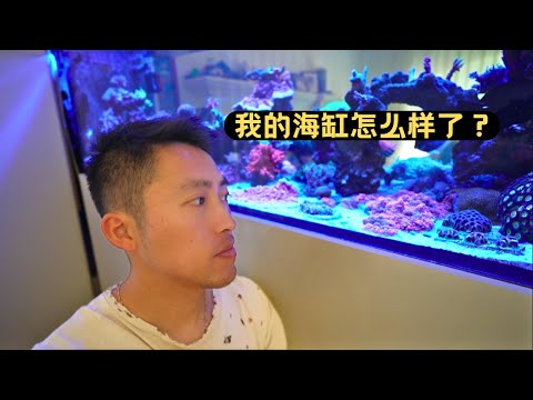 海缸铺沙一定要有长远规划，耐心和心态也很重要