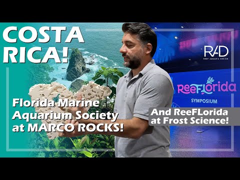 COSTA RICA, FLORIDA MARINE AQUARIUM SOCIETY AT MARCO ROCKS, AND REEFLORIDA EVENT AT FROST SCIENCE.