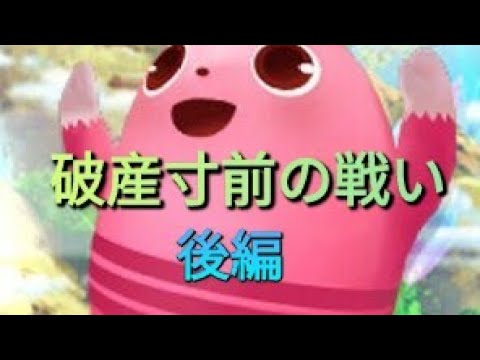 【アニマロッタ７】破産寸前だよ(°∀°)後編