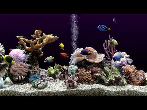 Underwater Fish Tank Screen Saver | Ambience | No Music | Water Sounds | 4 Hours