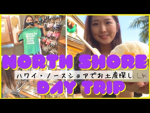 ノースショアでお土産探しの旅！/ North Shore Day Trip