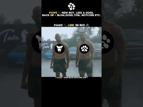 Paws telegram bot | paws airdrop kya hai | paws airdrop real or fake | paws airdrop | #shorts