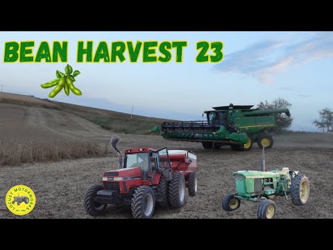 Bean Harvest (John Deere 9670 STS)