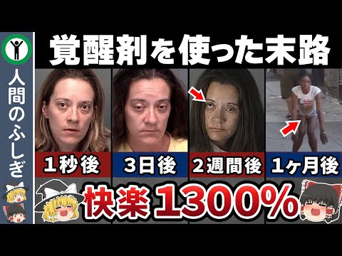 【コレは地獄】使ってしまった後の末路とは？【ゆっくり解説】