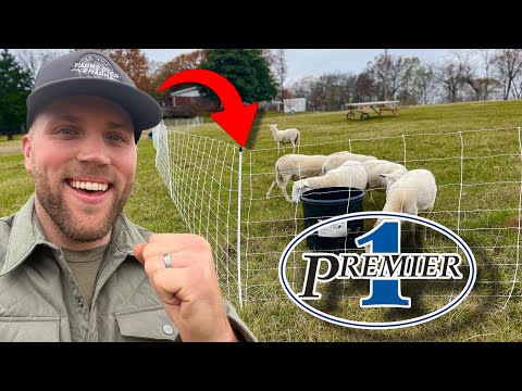 The ULTIMATE Guide to Setting Up Premier 1 Electric Netting⚡️