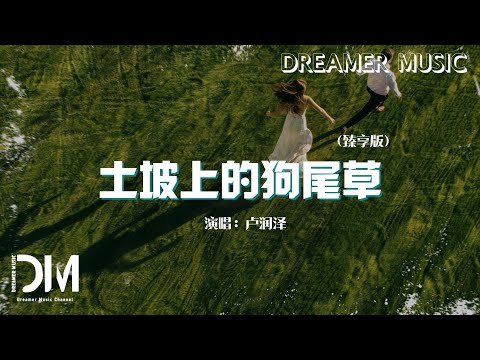 土坡上的狗尾草 (臻享版) - 盧潤澤『我的小黃妳卻已聽不到，騎著摩托風裏來雨裏去』【動態歌詞】