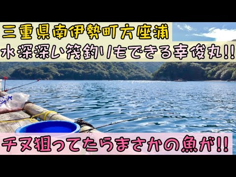 【チヌかかり釣り】三重県南伊勢町でオススメの渡船屋筏釣り