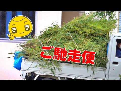 🐼竹の洗濯機って知ってる？ パンダたちの毎日を支えるスゴイマシーン🌿✨