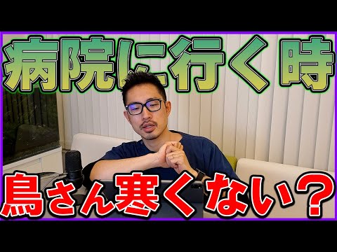 【鳥】病院に行く時の鳥さんの寒さ対策を教えて下さい。＃307