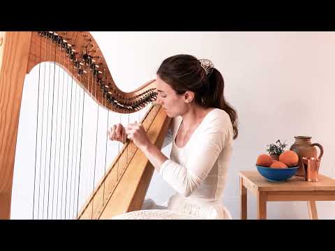 Allegro from Vivaldi's 'Spring' - Celtic lever harp solo