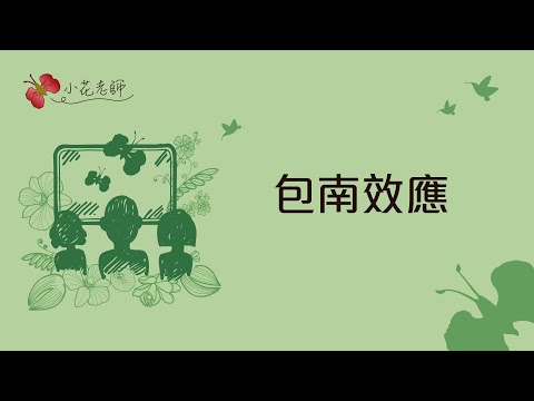 包南效應(小花)